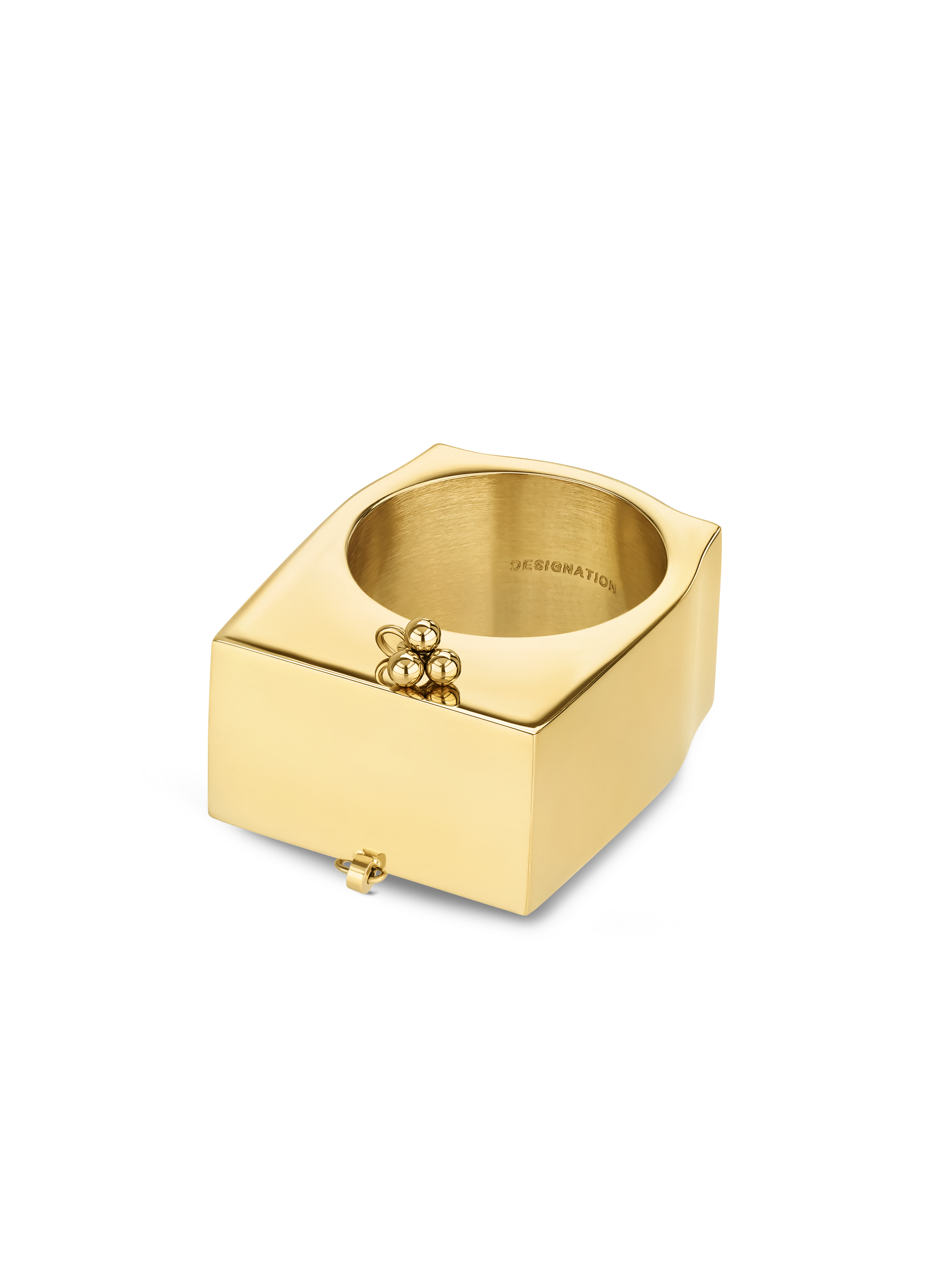 Raaj Ring Designation Official